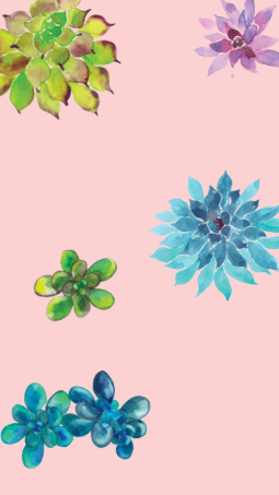 mini-succulent-climbing-phone-background